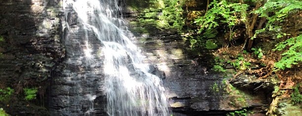 Bushkill Falls is one of Iconic Attractions in Pennsylvania.