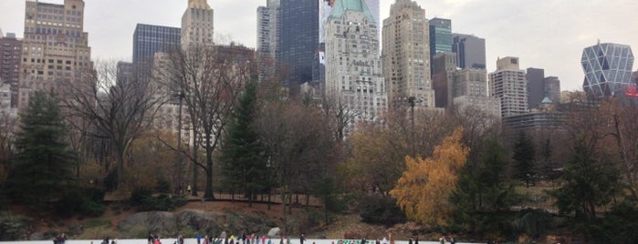 Wollman Rink is one of New York City.