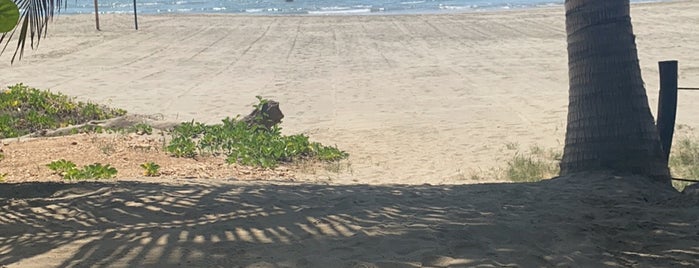 Playa Troncones is one of Guerrero.