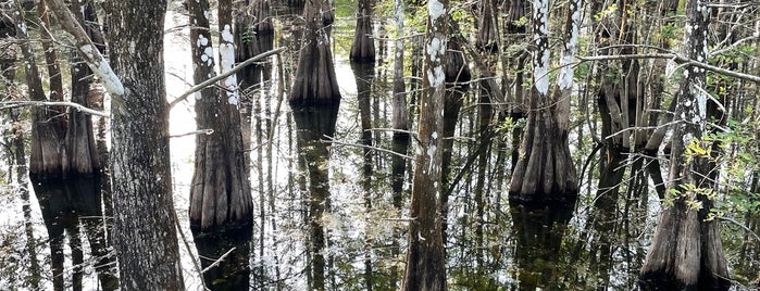 Six Mile Cypress Slough Preserve is one of Fort Myers.