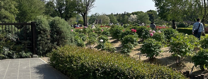 東松山ぼたん園 is one of 公園_埼玉県.