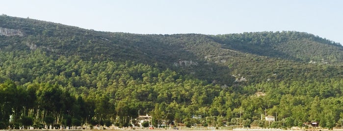 Akbük Marina is one of สถานที่ที่ Ayshe ถูกใจ.