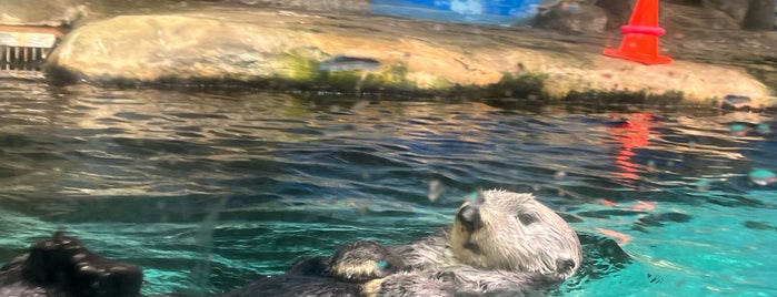 行ったことのある水族館