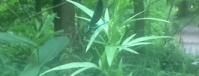 Corbett's Glen Nature Park is one of Posti che sono piaciuti a Sebastian.