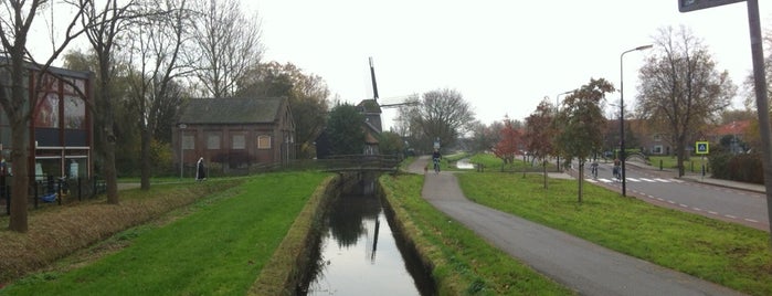 VVV Volendam is one of Waterland.