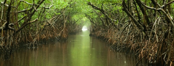 Everglades National Park is one of Просто удивительно!!!  Вы знаете, что....