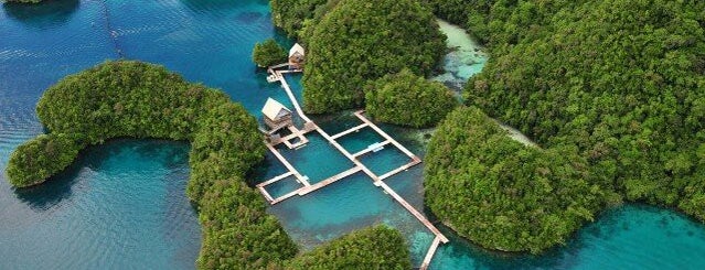 Palau is one of World Countries (Europe, Asia & Oceania).