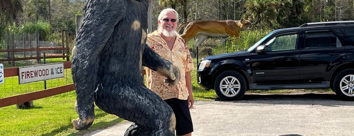 Skunk Ape Research Center is one of Miami and Key West.