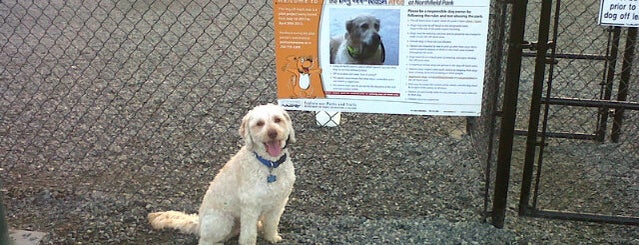 Dog Off-Leash Area @ Northfield Park is one of Posti che sono piaciuti a L.