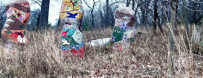 West Ridge Nature Preserve is one of Forest Preserves.