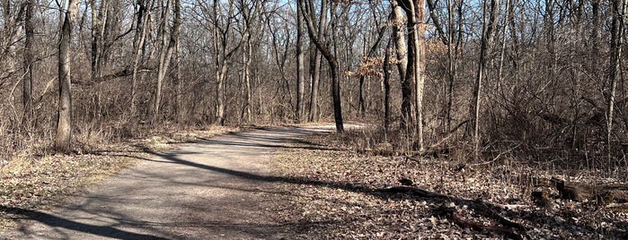 Campgrounds Road Woods is one of Forest Preserves.