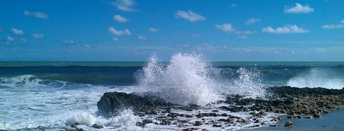 Blowing Rocks Preserve is one of Explore the Treasure Coast.