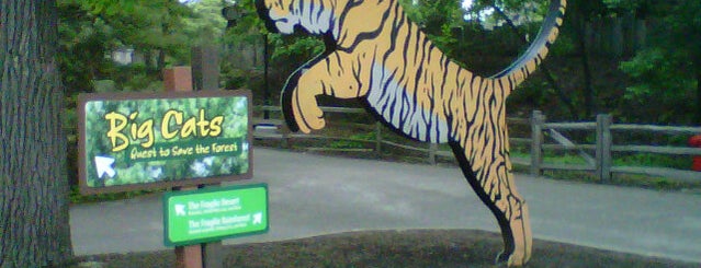 Big Cats is one of Brookfield Zoo.