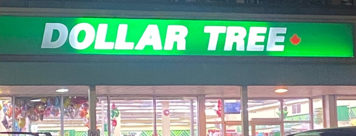 Dollar Tree is one of My places.