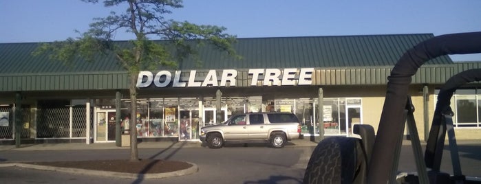 Dollar Tree is one of favorites.