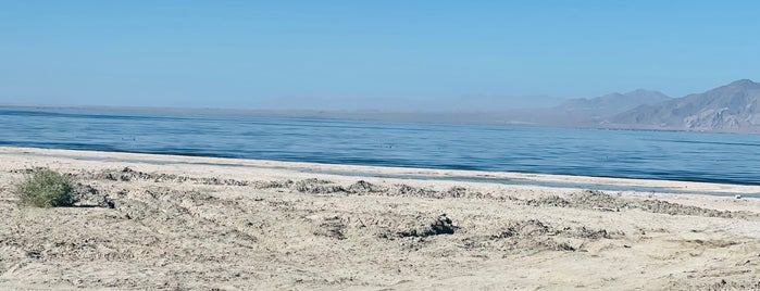 Salton Sea!