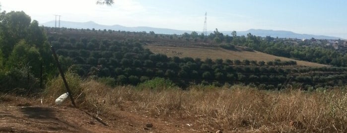 Forêt Aïn Chkef غابة عين الشقف is one of Fes.