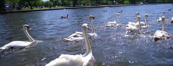 Stratford-upon-Avon is one of Best UK #PhotoSpots.