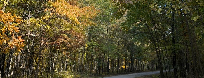 Lincoln Trail State Park is one of Illinois State Parks.