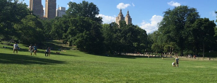 Frisbee Hill is one of Central Park🗽.