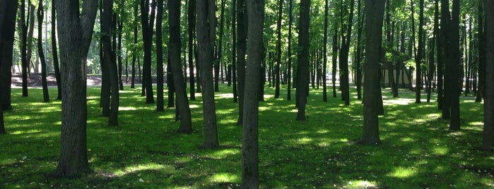 Бабушкинский парк is one of Парки со спортивными программами.