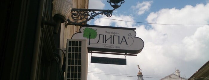Lipa is one of Novi Sad.