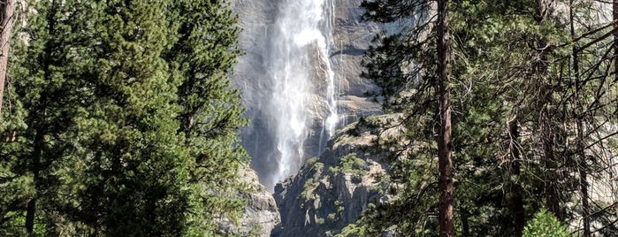 Yosemite Falls is one of Nord-Kalifornien / USA.