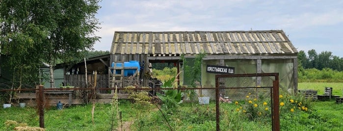 Салат-бар за огородом / Рваный гусь is one of Заехать при случае - Россия.