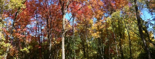 Warnimont Dog Park is one of Posti che sono piaciuti a Cherri.