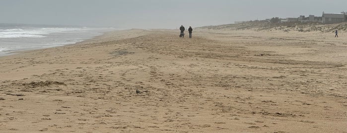 Fenwick Island State Park is one of Delaware to-do list.