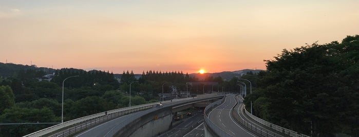 仲の瀬橋 is one of 仙台の辻標.