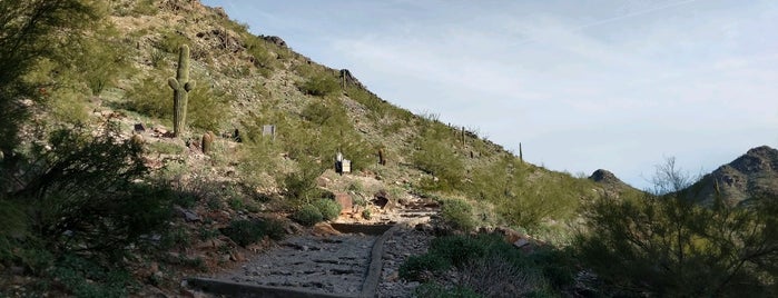 Piestewa Peak Freedom Trailhead - 302 is one of Dallinさんのお気に入りスポット.