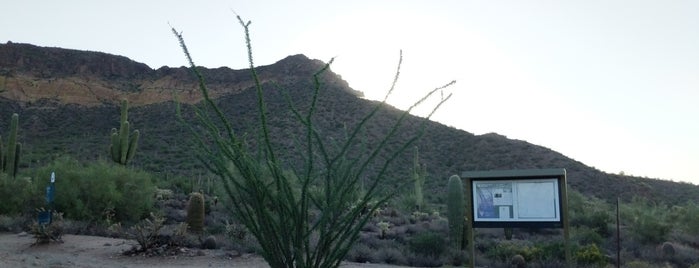 Pass Mountain Trail is one of Phoenix.
