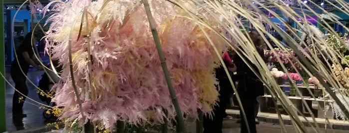 Philadelphia Flower Show is one of Kimmie 님이 저장한 장소.