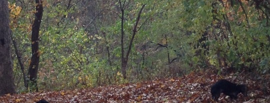 Forest Park, 112th Street Trailhead is one of สถานที่ที่บันทึกไว้ของ Kimmie.