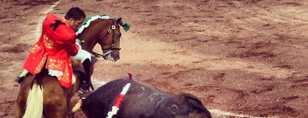 Plaza De Toros De San Buenaventura is one of สถานที่ที่ Guillermo ถูกใจ.