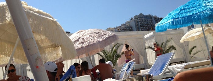 Portofino Hotel Beach Resort is one of Подсказки.