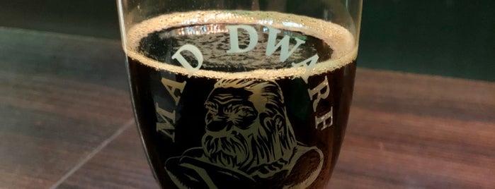 Mad Dwarf Brew Pub - Joinville is one of Locais curtidos por Patricia.