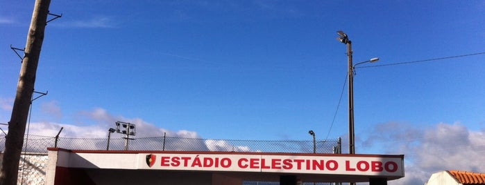 Estádio Celestino Lobo is one of Lugares favoritos de J. Pedro.