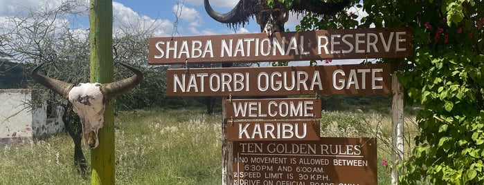 Sarova Shaba Game Lodge Samburu National Reserve is one of R&R Program Partners.