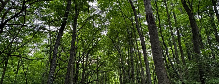 Five Rivers MetroPark - Sugarcreek is one of Beautiful Nature.