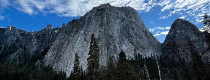 El Capitan Meadow is one of Yosemite features.