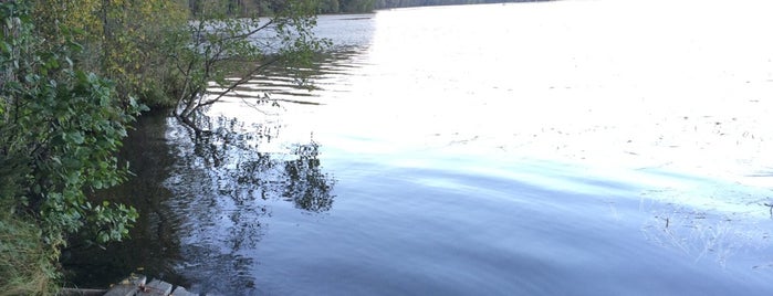 Сарженское озеро is one of สถานที่ที่บันทึกไว้ของ Fesko.