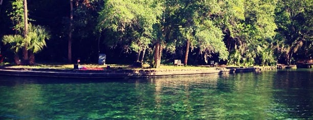 Wekiwa Springs State Park is one of orlando.
