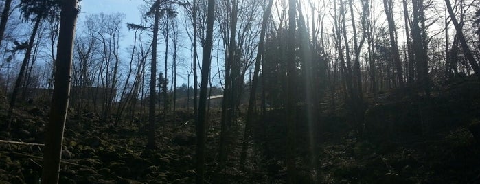 Gaishölle Wanderweg is one of Michael's Saved Places.