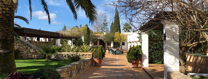 Restaurante Jardins De Fruitera is one of Ibiza.