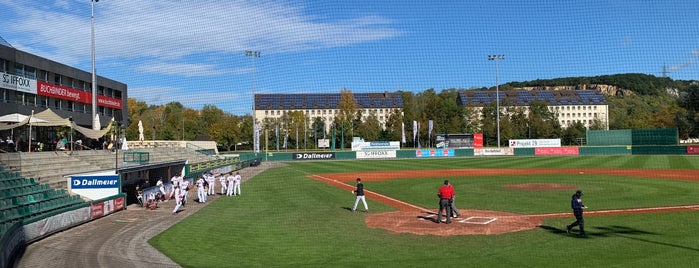 Armin-Wolf-Arena is one of Baseball Bayern.