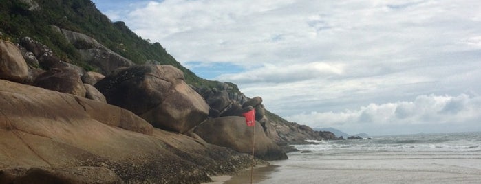 Praia Da Ponta Das Feiticeitas is one of Santa No Soy.