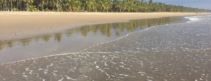 Playa Tortugas is one of Lugares favoritos de Miguel Angel.