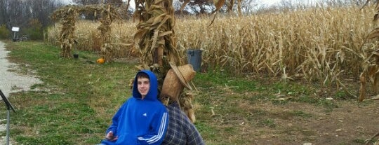 schuett corn maze is one of Tempat yang Disukai Shyloh.